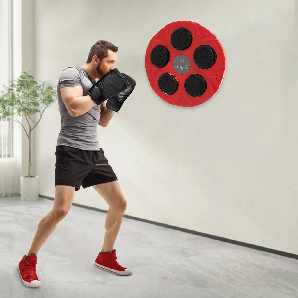 Wall-Mount Boxing Machine with Gloves L422