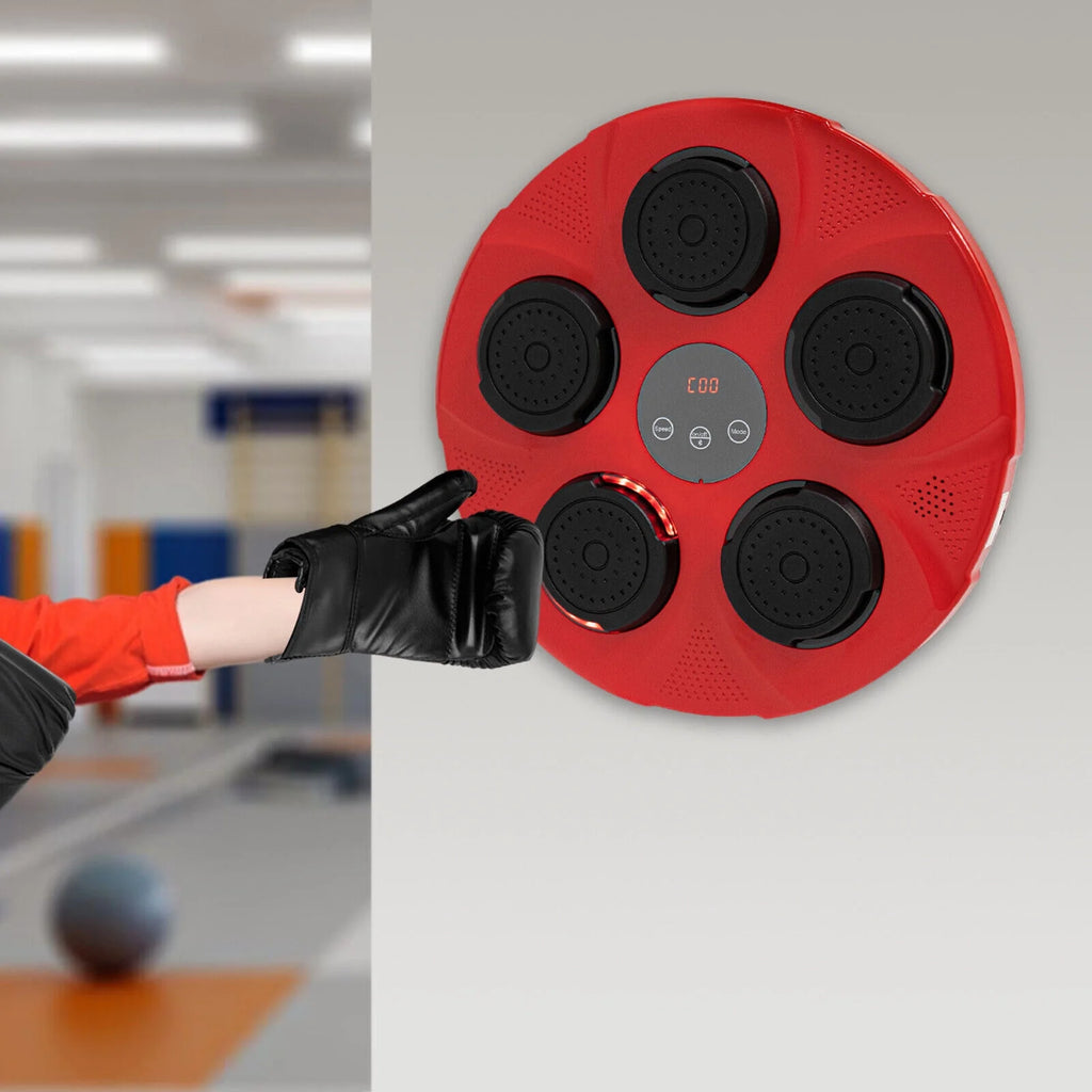 Wall-Mount Boxing Machine with Gloves L422