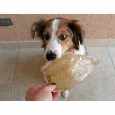 Buffalo Ears for Dogs P21638
