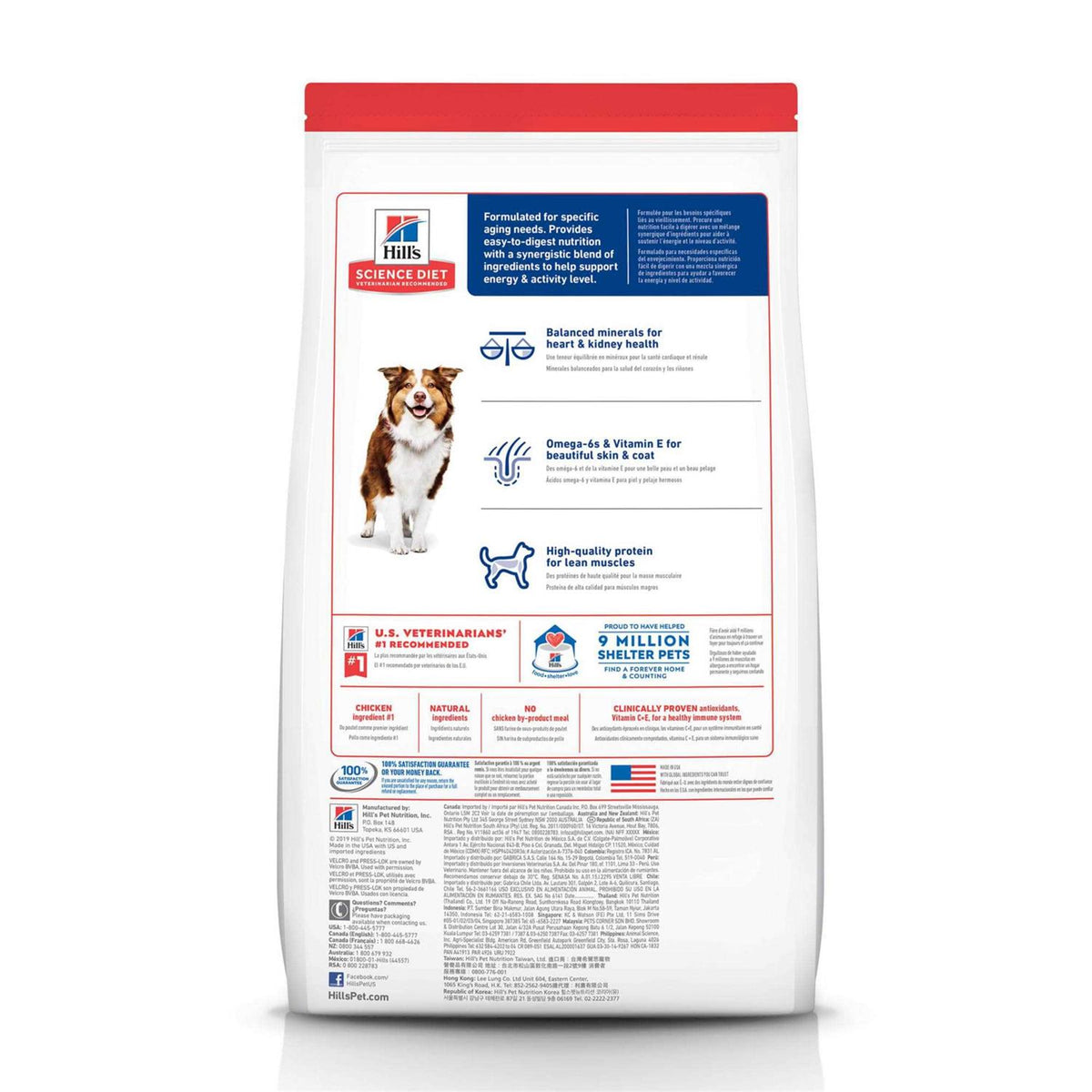 Senior 7+ Dry Dog Food T23419