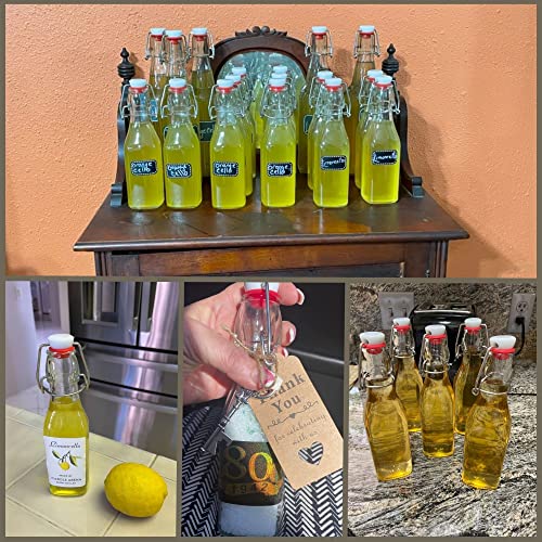 Set of 6 8.5 oz Swing Top Glass Bottles X31517