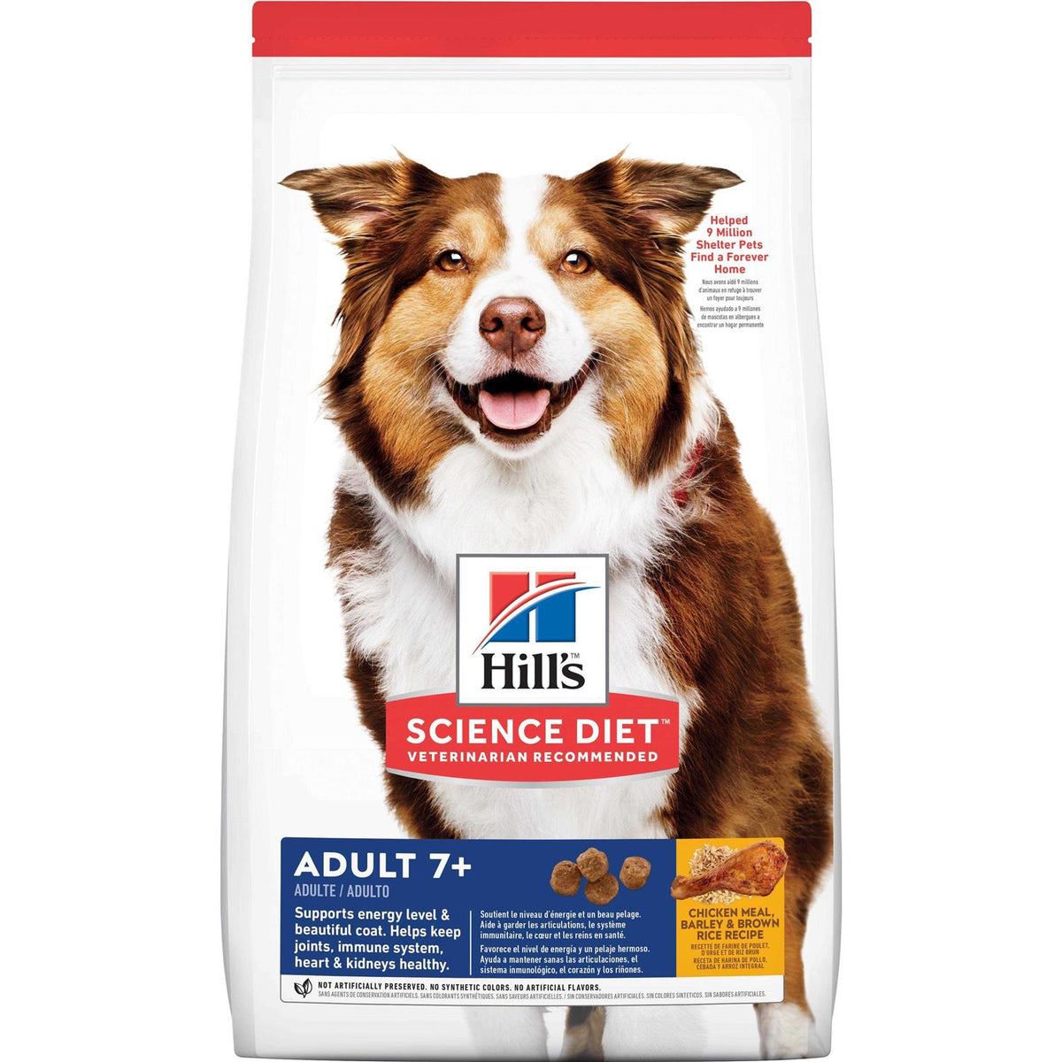 Senior 7+ Dry Dog Food T23419