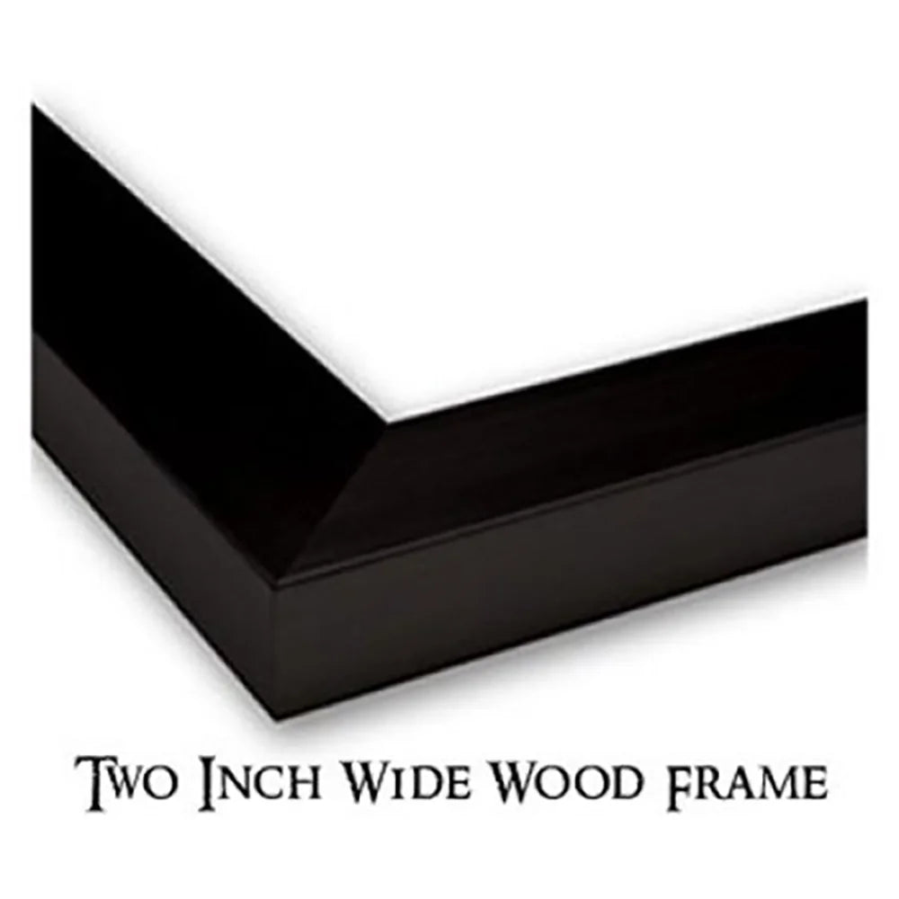 Black Framed Museum Art Print D715