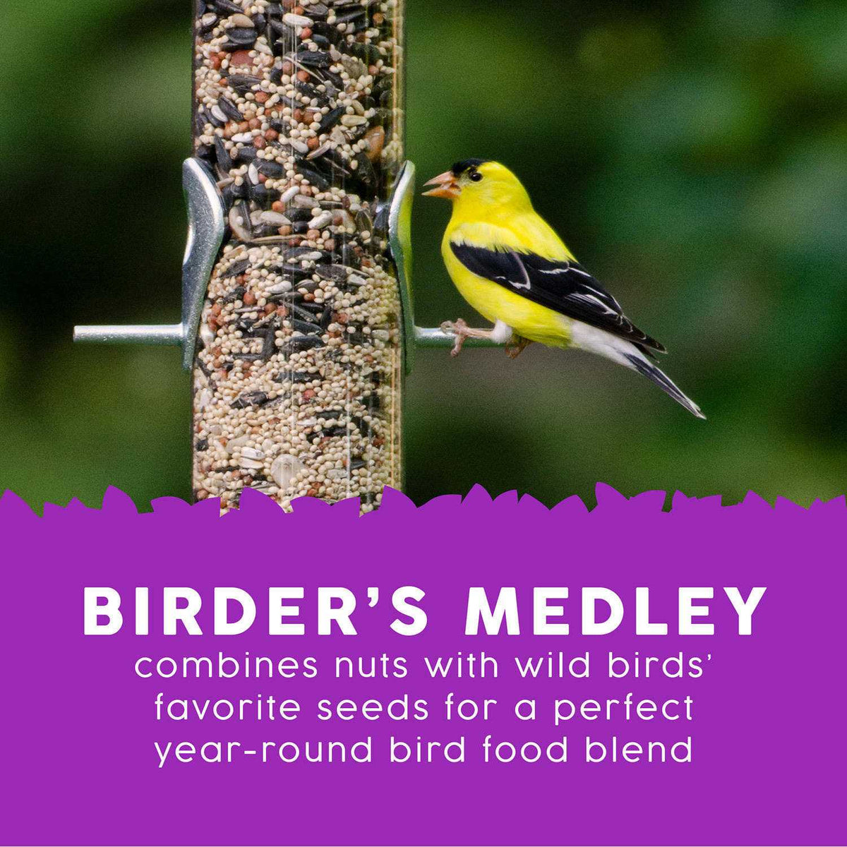 Wild Bird Food R55114