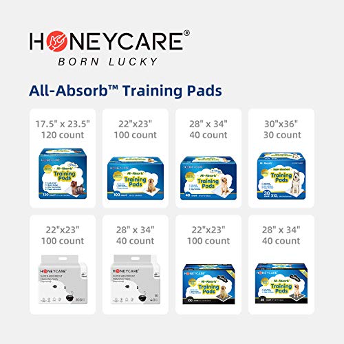 Training Pads, Blue, Large - 22" x 23" 200ct Q293354