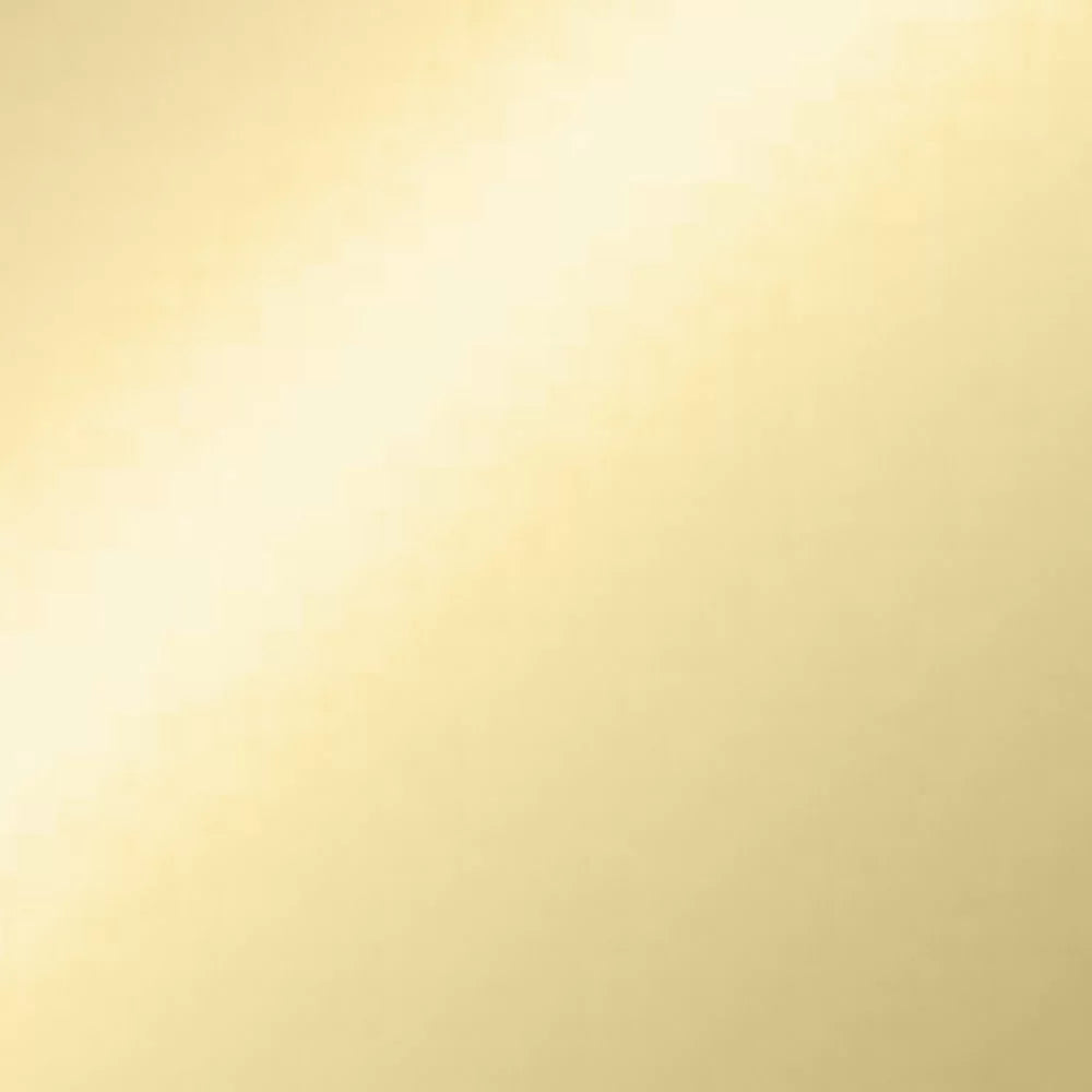 Entry Door Lever Adjustable Backset Polished Brass U64249