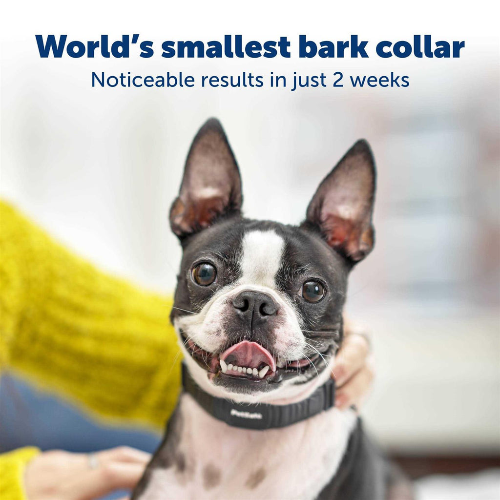 NanoBark Collar V892