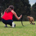 Leash S371921