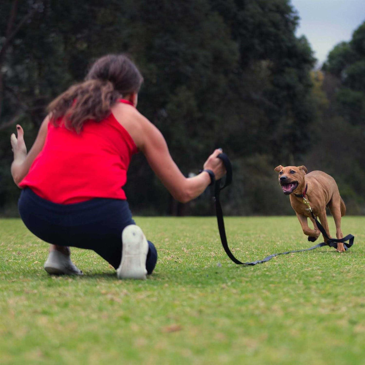 Leash S371921
