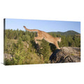 Mountain Lion Jumping Art Print M450