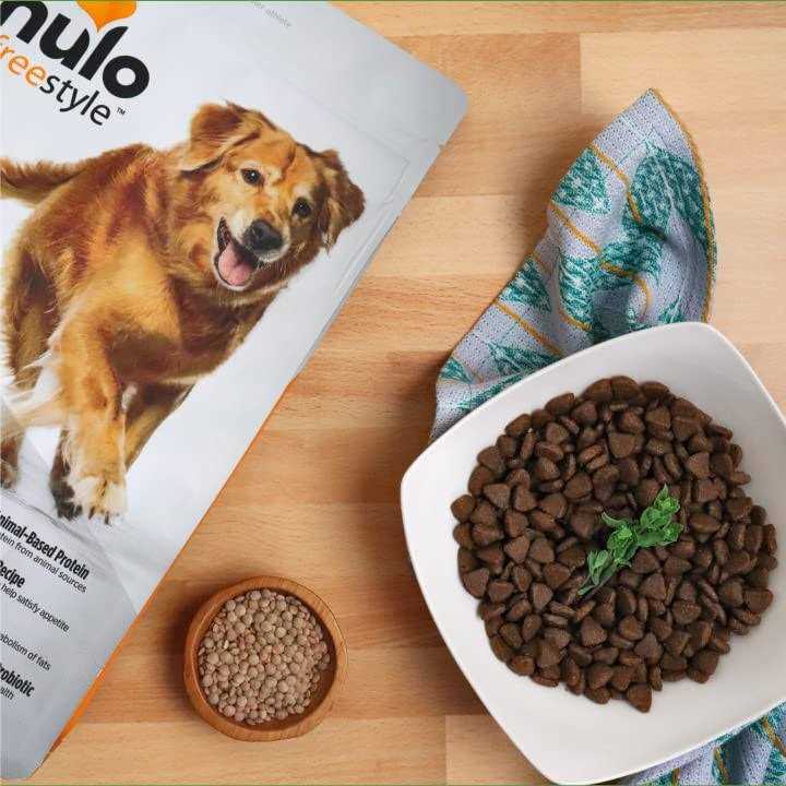 Grain Free Cod & Lentils Recipe Dry Dog Food K587723