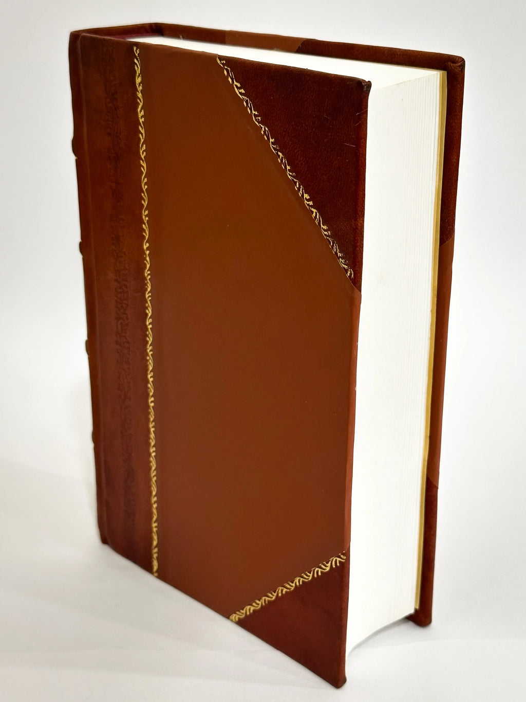 Auvergne History Book Leather Bound Y863707
