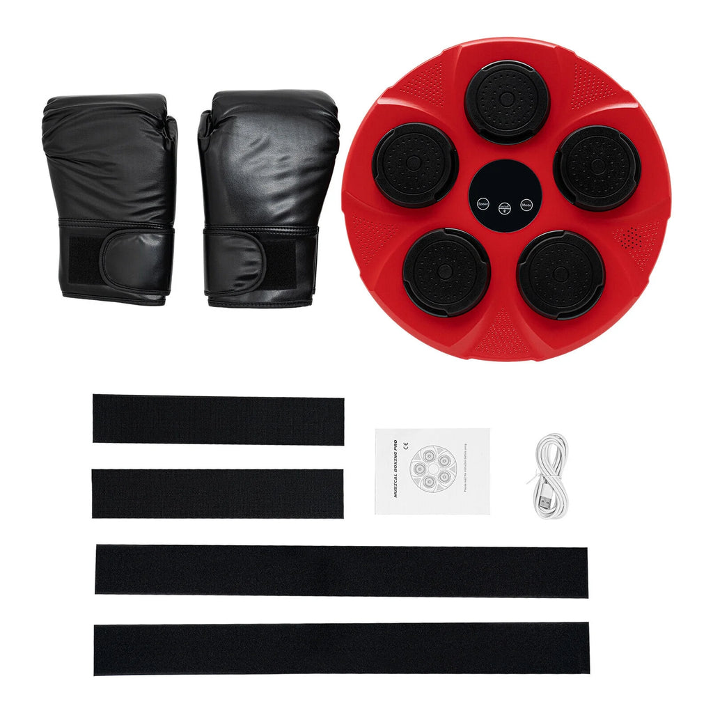 Wall-Mount Boxing Machine with Gloves L422