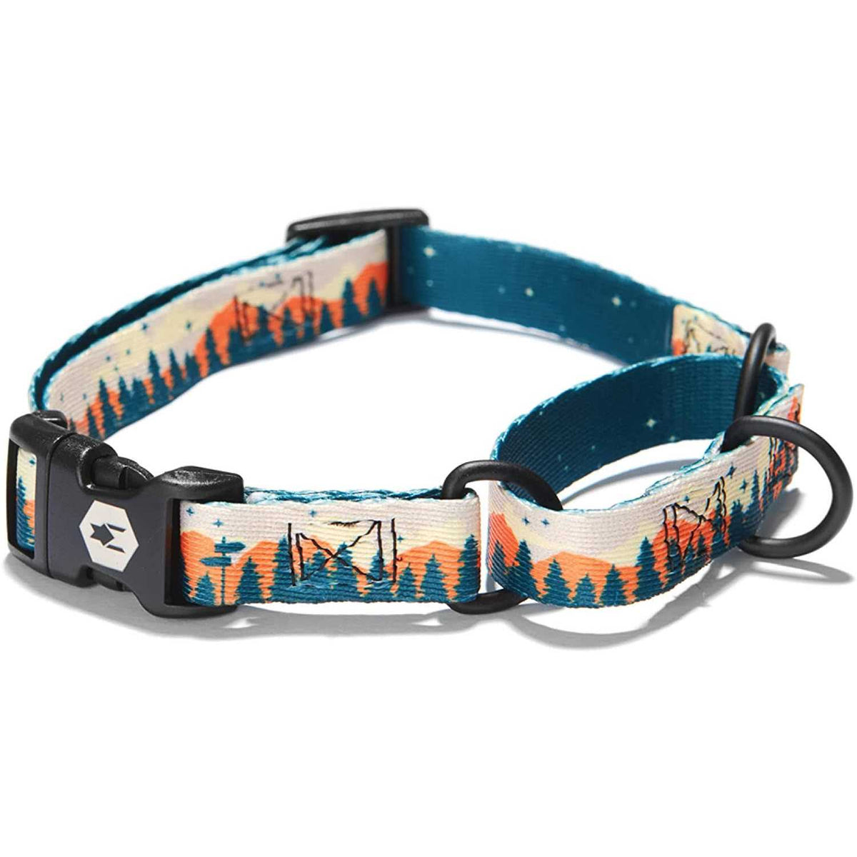 Martingale Dog Collar Y93674
