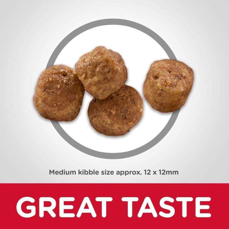 Senior 7+ Dry Dog Food T23419
