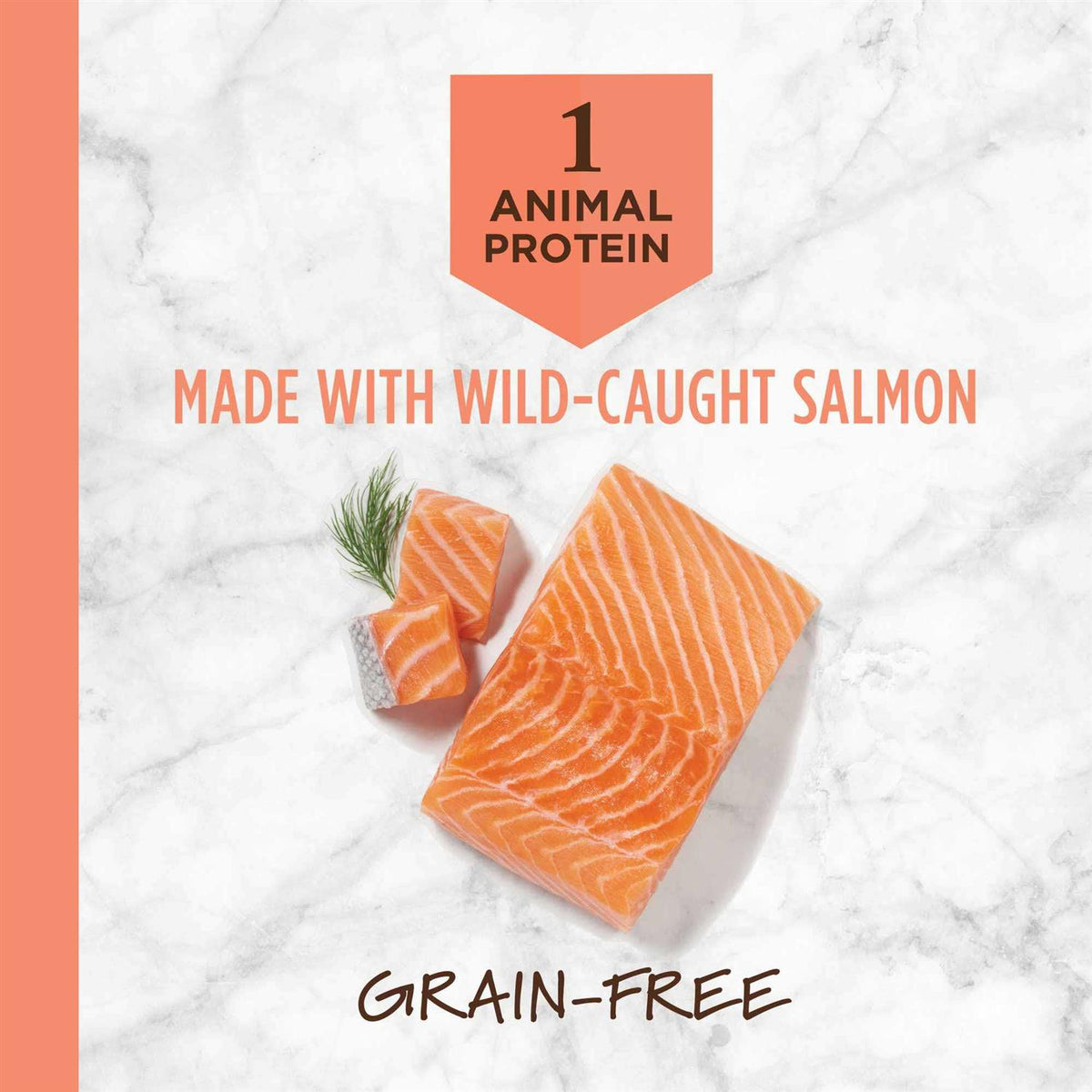 Grain Free Salmon Dry Cat Food T53045