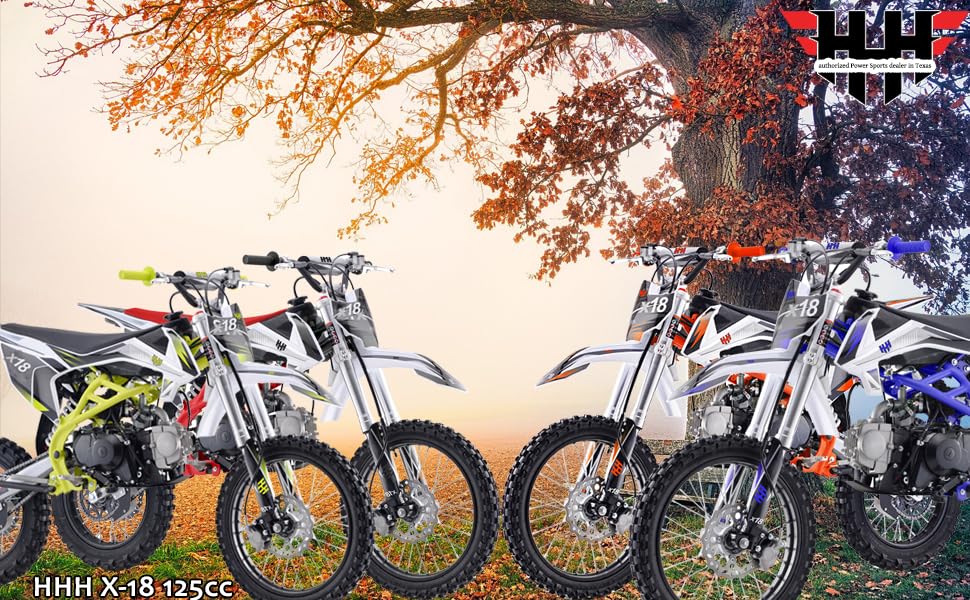 125cc Dirt Bike with 17/14 inch Tires J172
