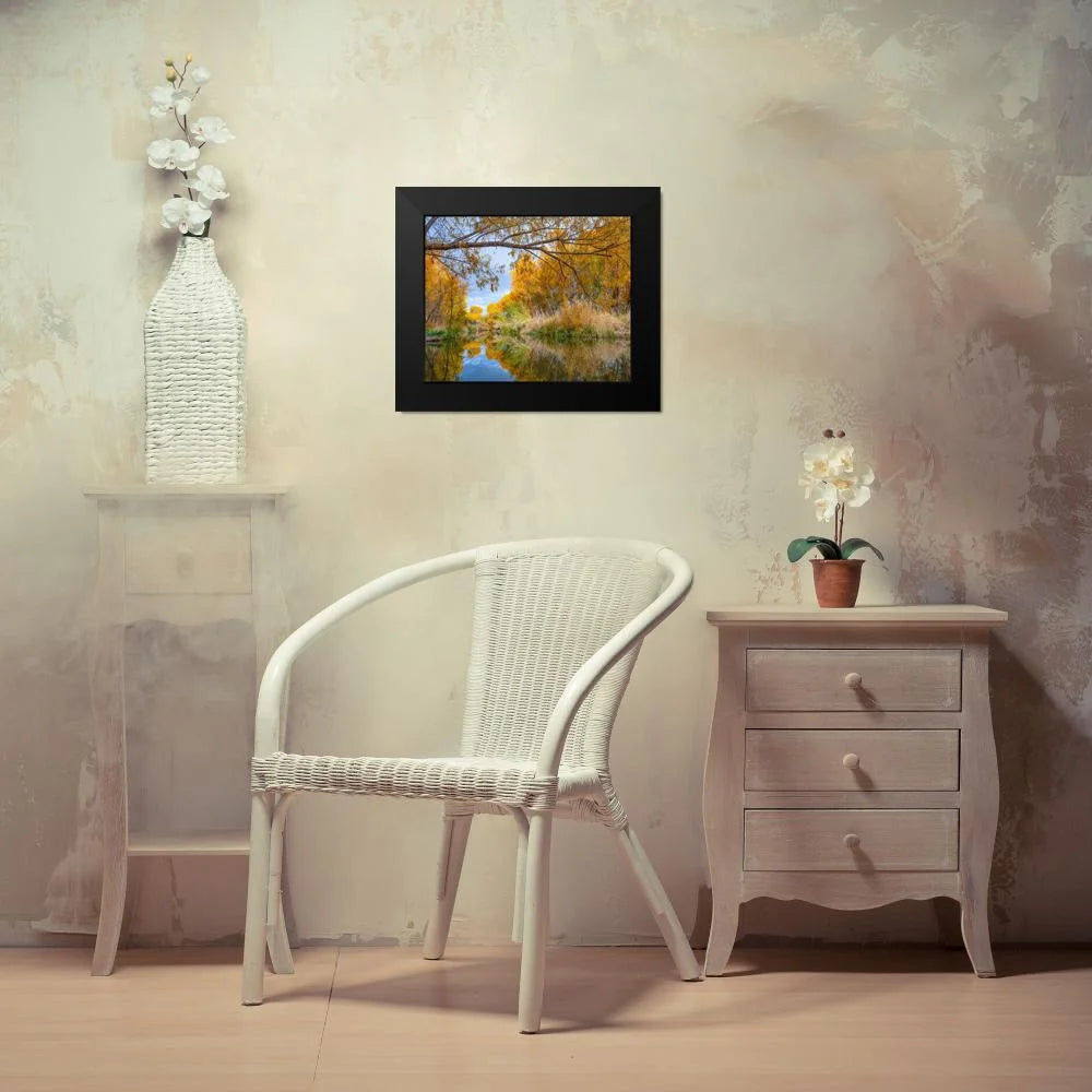 Black Framed Museum Art Print D715