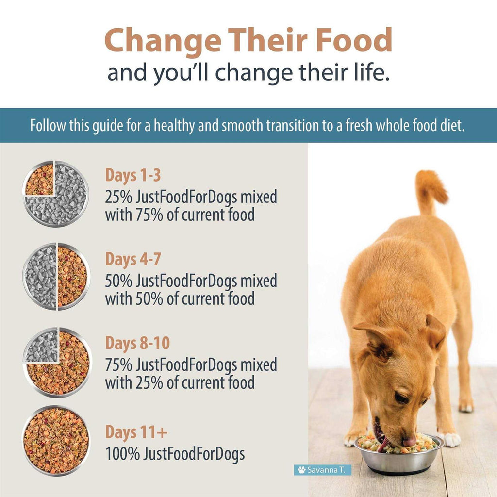 Frozen Fresh Dog Food N6352