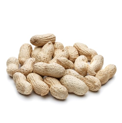Raw Peanuts (50 LBS) T3461