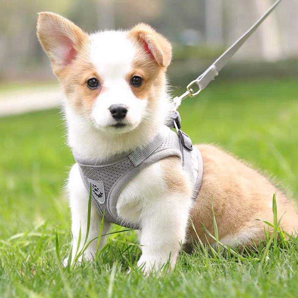 No-Pull Soft Mesh Reflective Adjustable Dog Harness and Leash Set L393