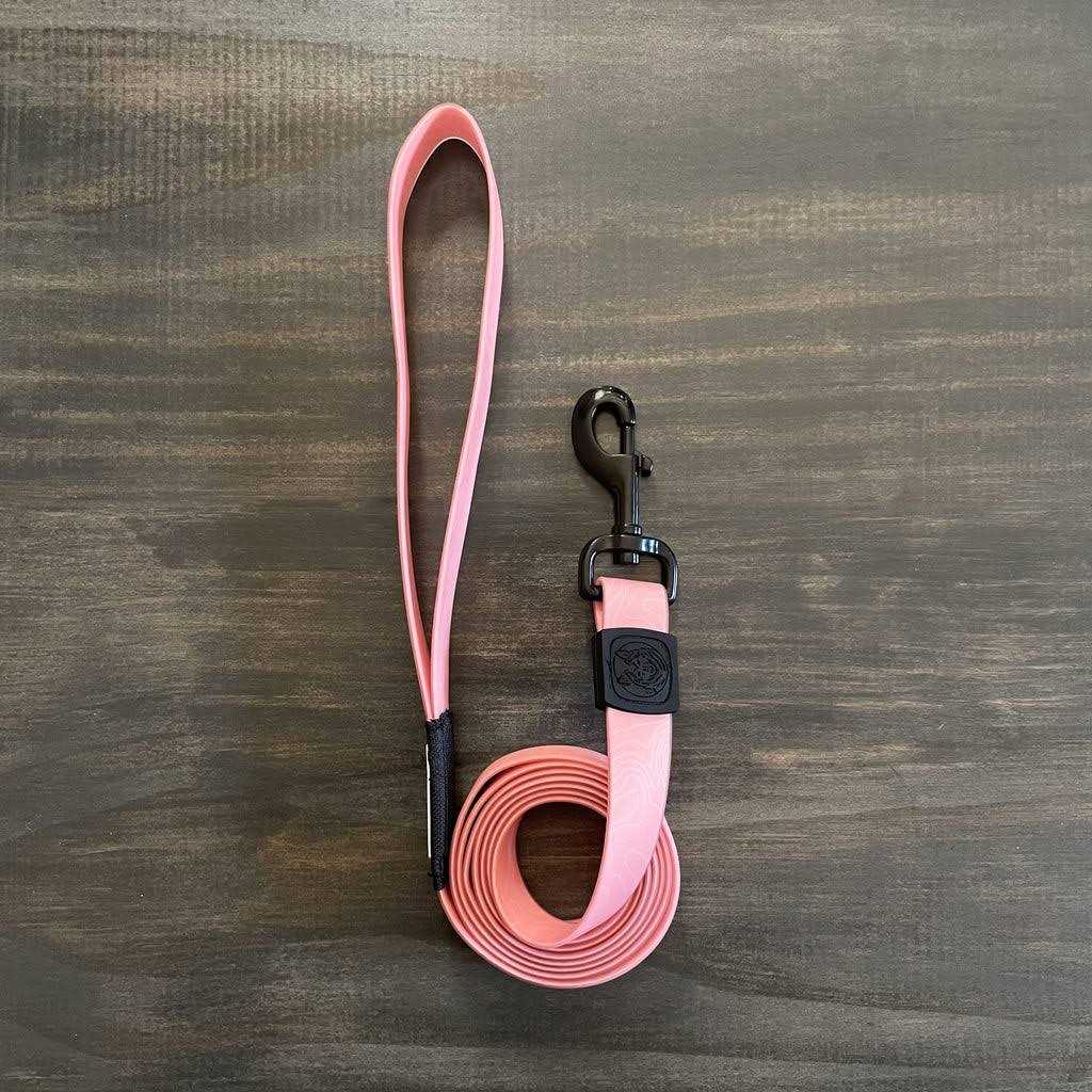 Waterproof Leash H6058
