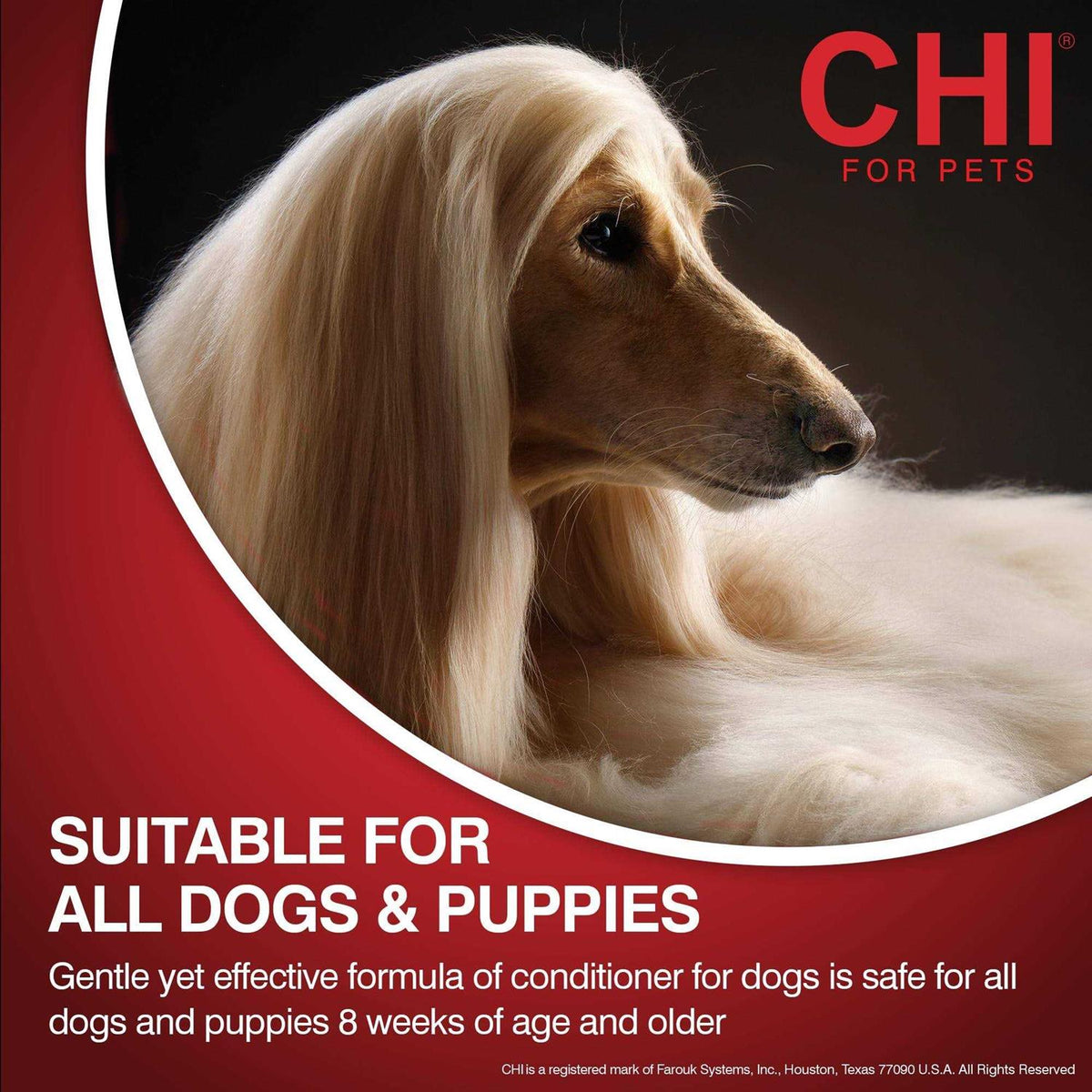 Moisturizing Dry Shampoo for Dogs D746