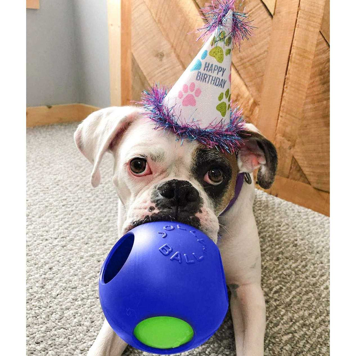 Pet Ball N65639