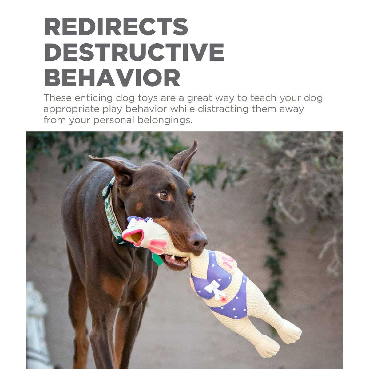 Latex Pet Toy A7540