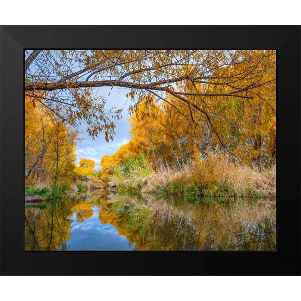 Black Framed Museum Art Print D715