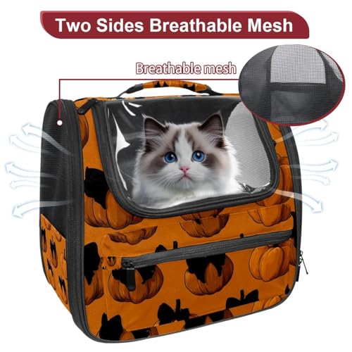 Black and White Skull Pattern Pet Carrier Backpack X637
