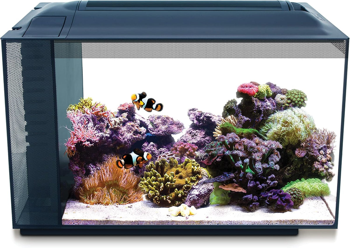 13.5 Gal. Saltwater Aquarium Kit O832