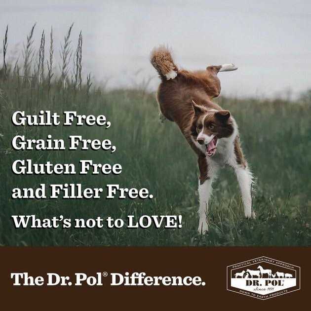 Freeze Dried Salmon Dog Treat and Meal Topper O96751