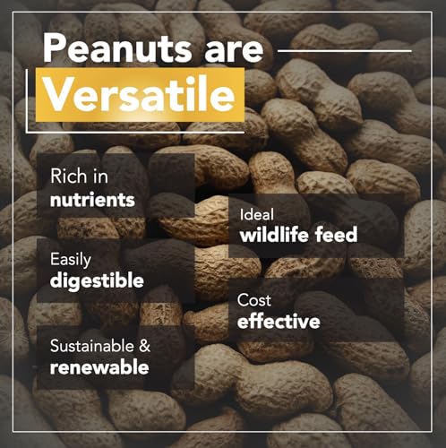 Raw Peanuts (50 LBS) T3461