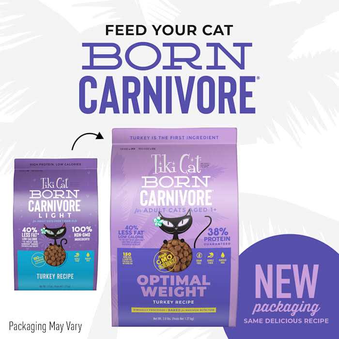 Turkey Light Dry Cat Food E875751