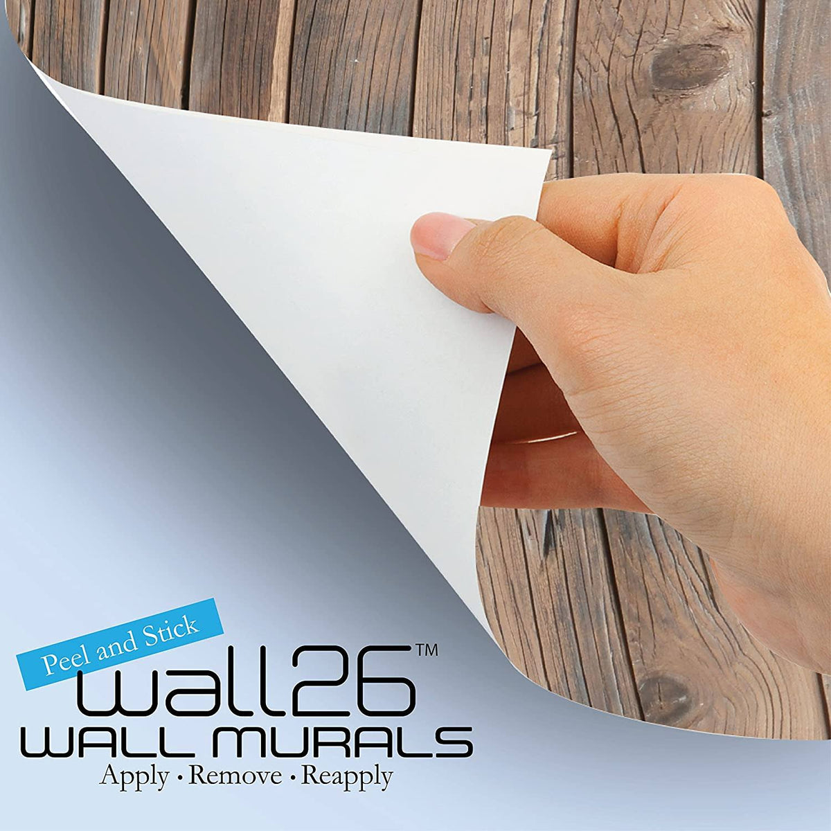 Large Self-Adhesive Vinyl Wall Mural S94535