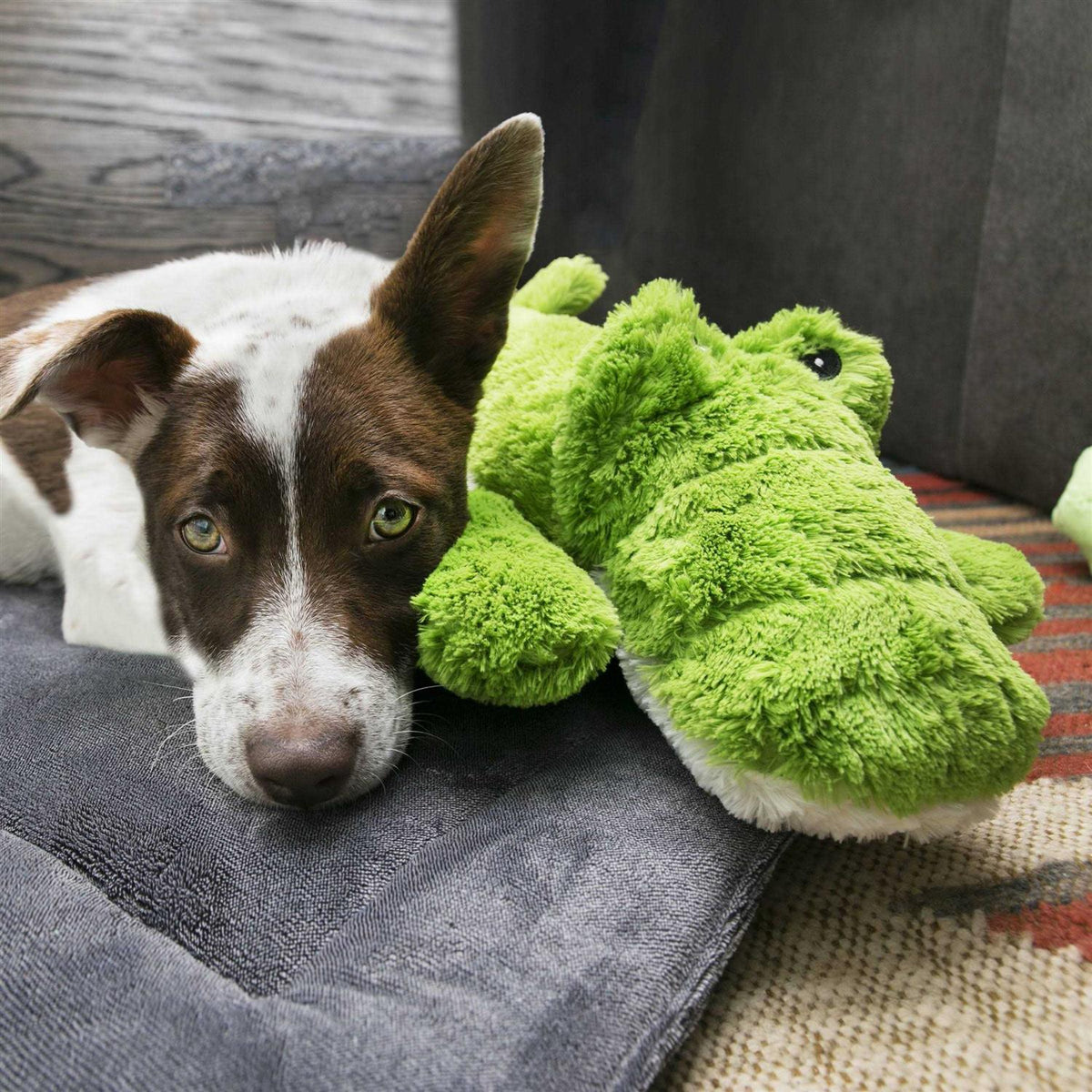 Alligator Dog Toy L725