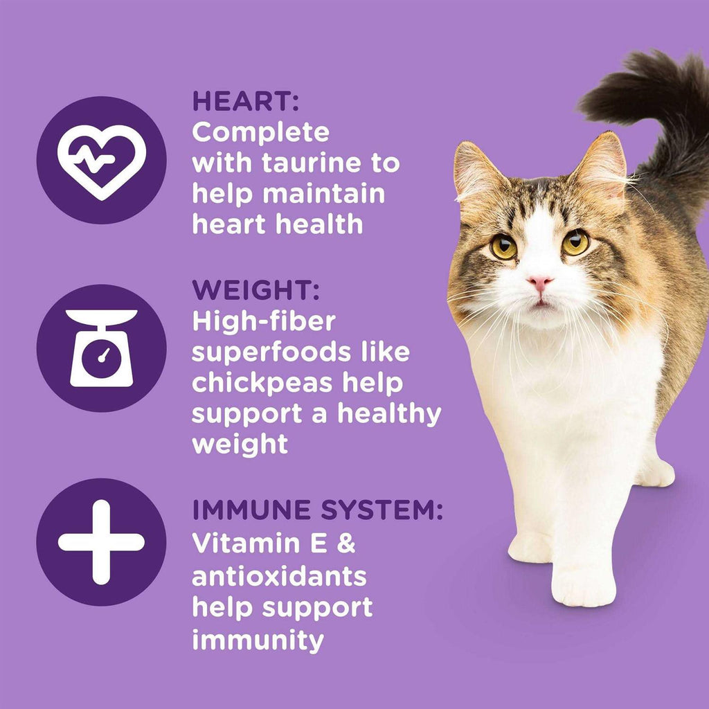Dry Cat Food I6676