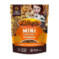 Turkey & Pumpkin Recipe Dog Treats B70234