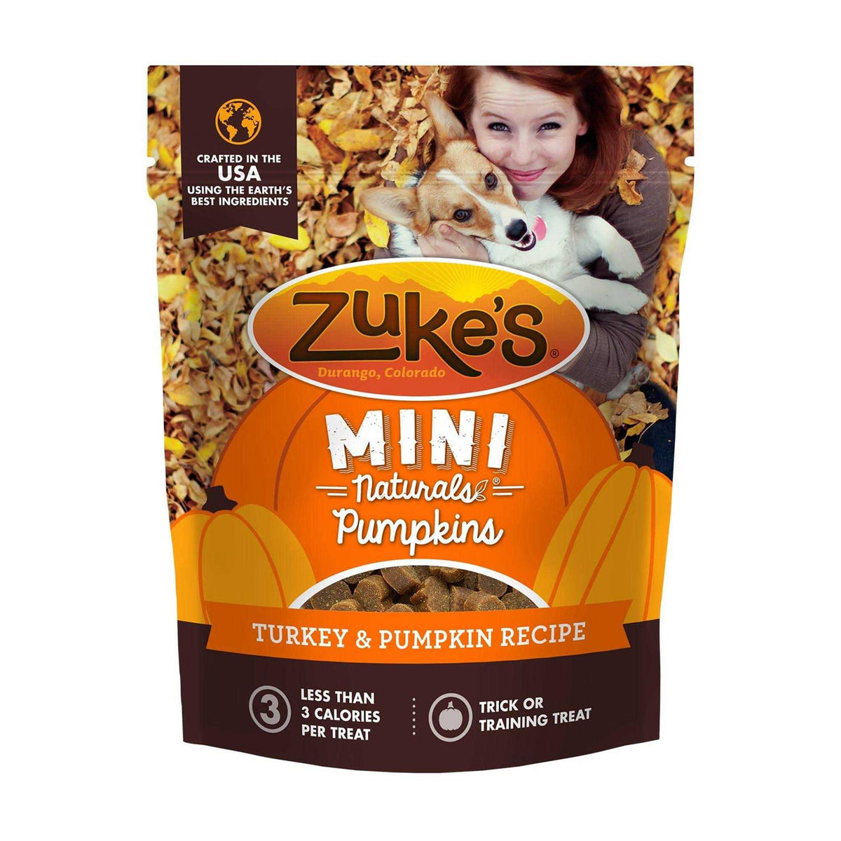 Turkey & Pumpkin Recipe Dog Treats B70234
