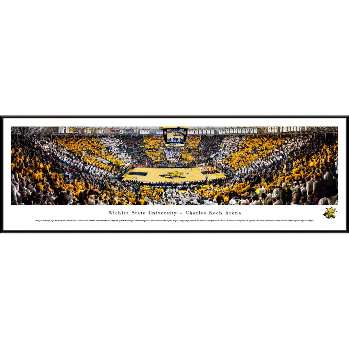 Standard Frame Basketball Z955816