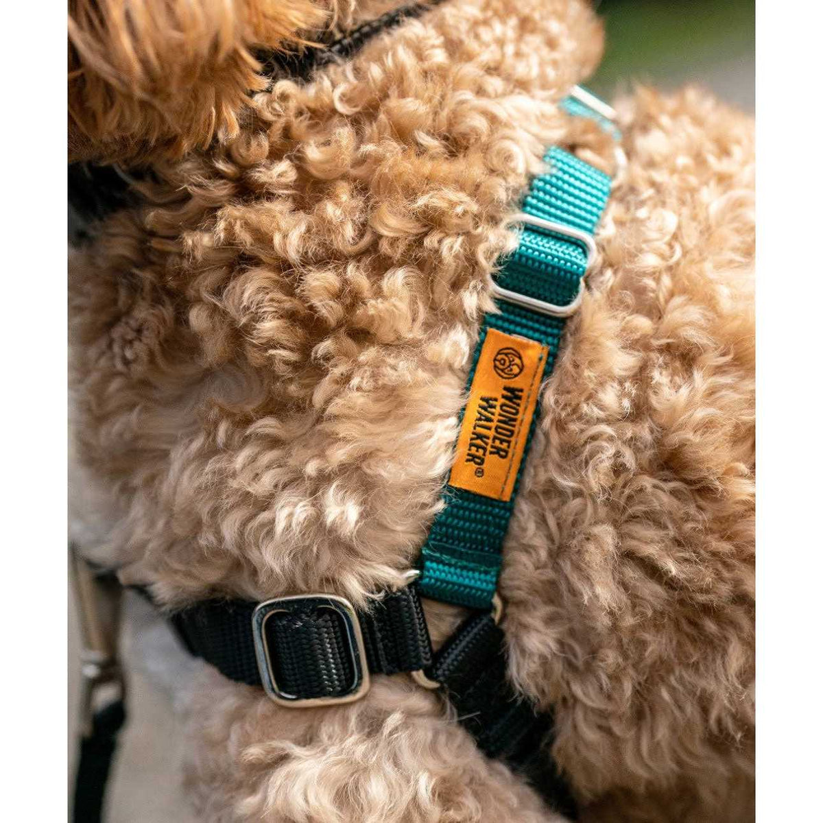 Dog Harness F6085