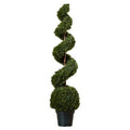 Cedar Spiral Tree with Ball in Green Pot N443718