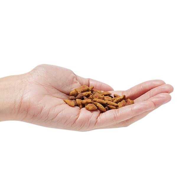 Hairball Control Dry Cat Food Z870