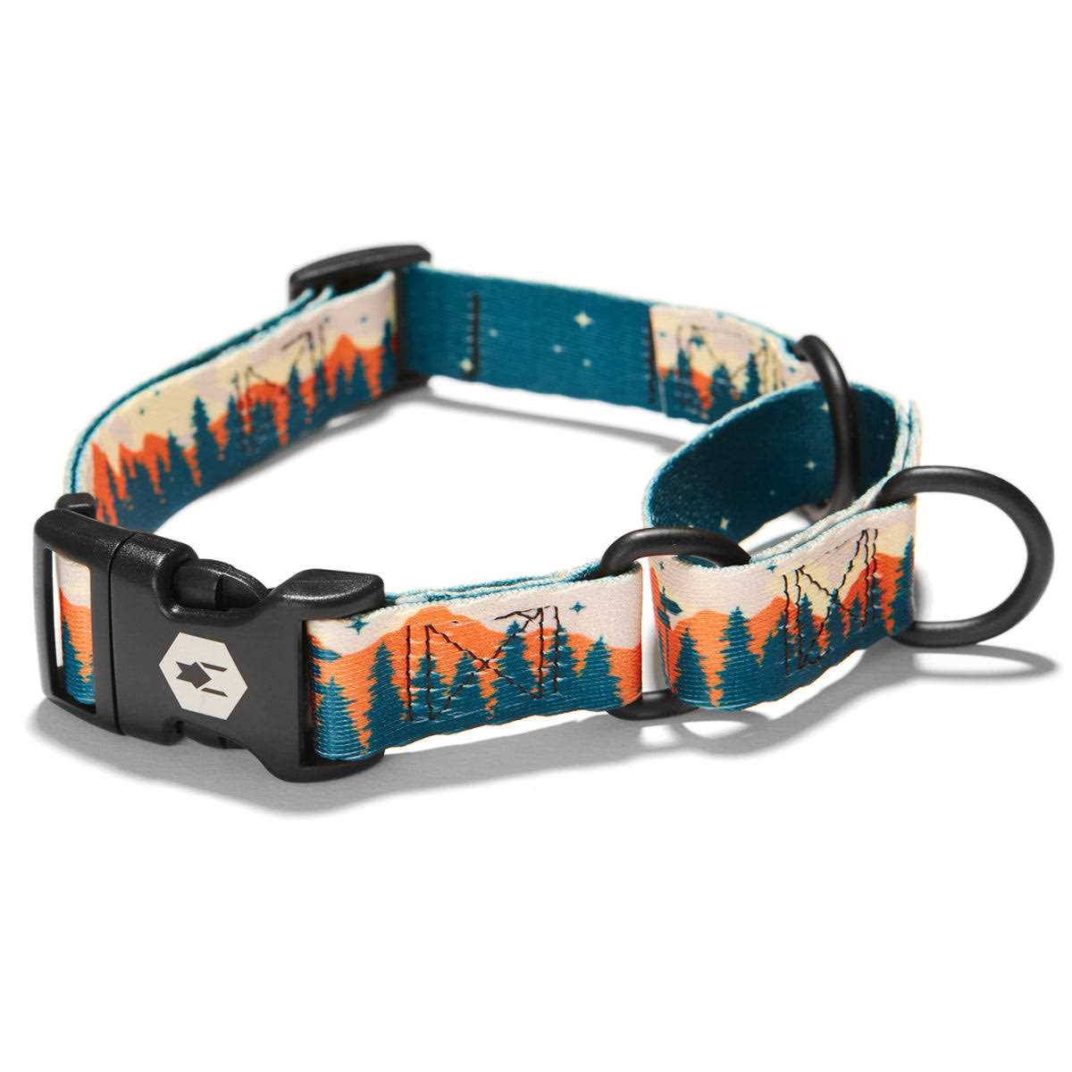 Martingale Dog Collar Y93674