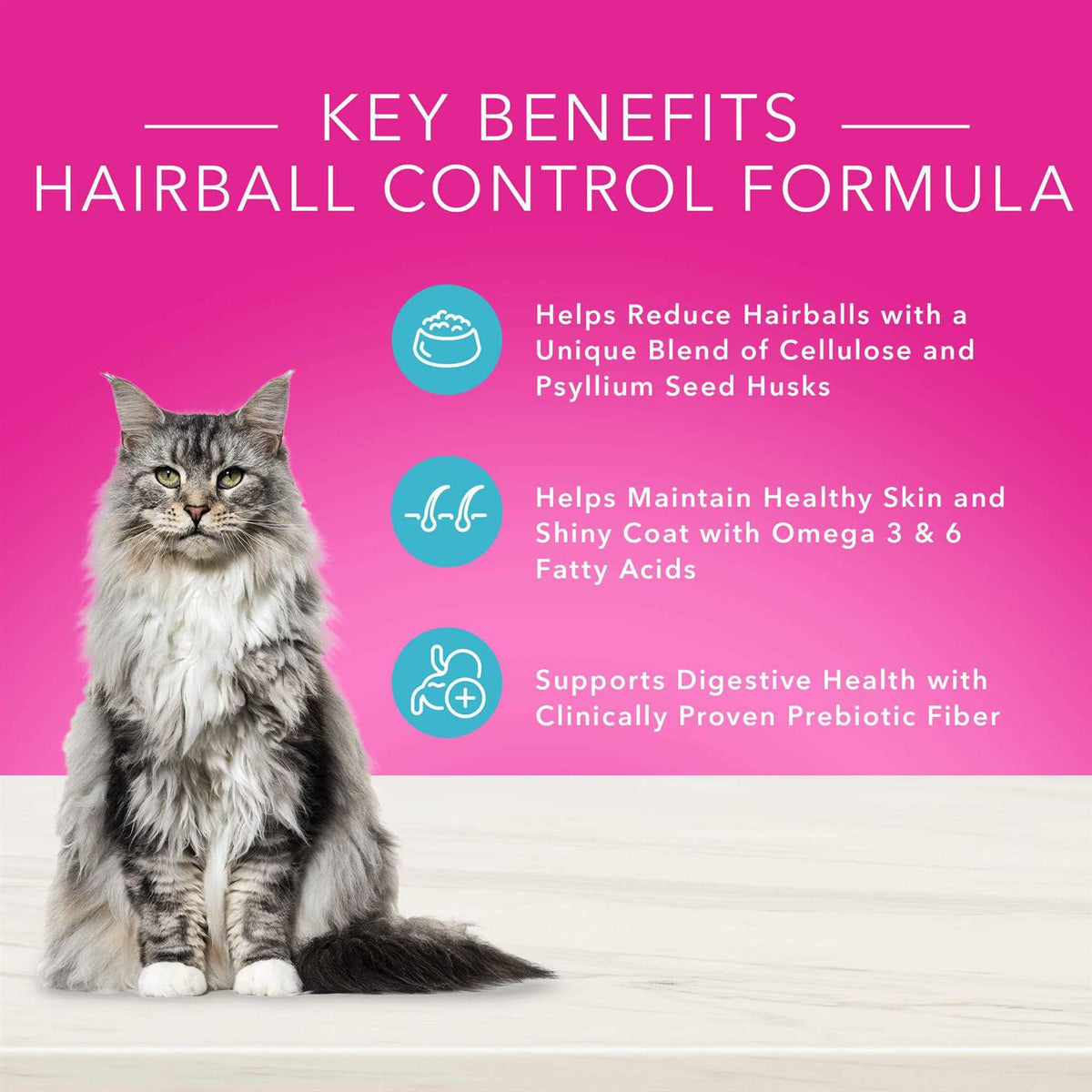 Adult Dry Cat Food Q562360