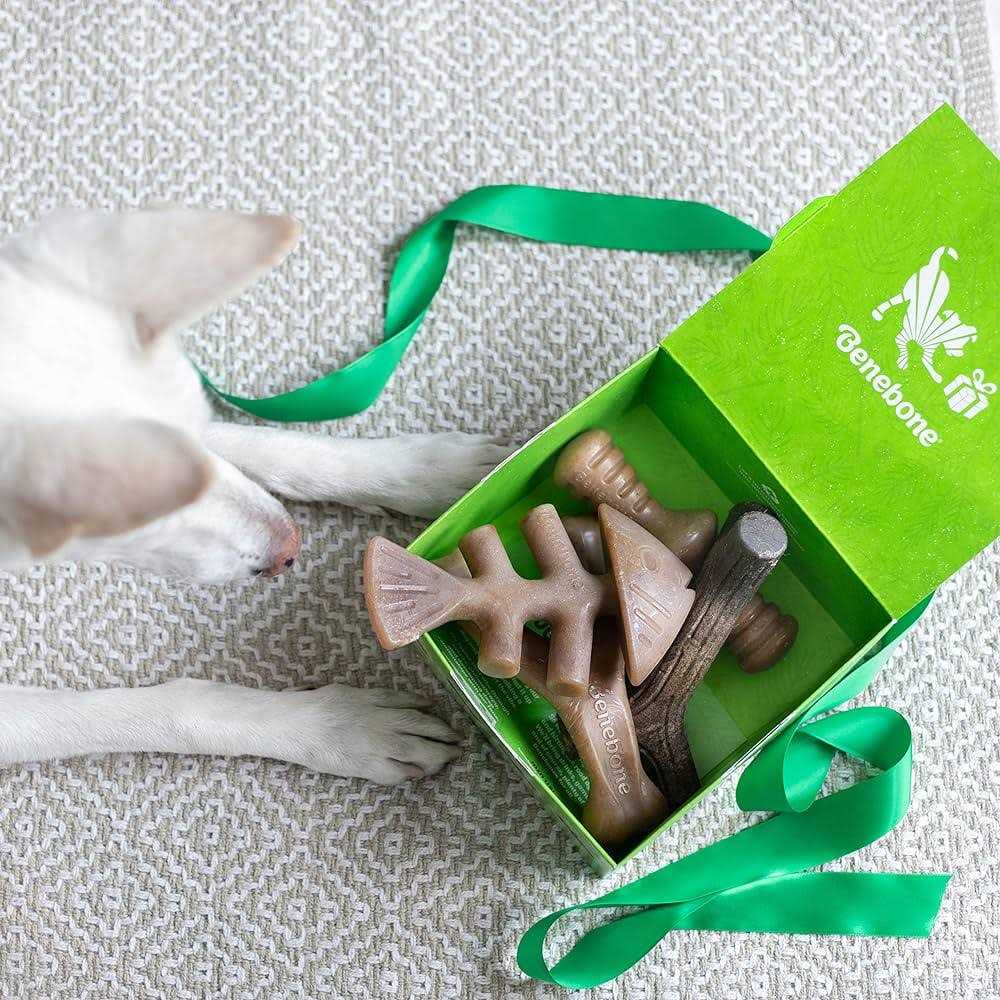Dog Chew Toy 4 Pack P75580