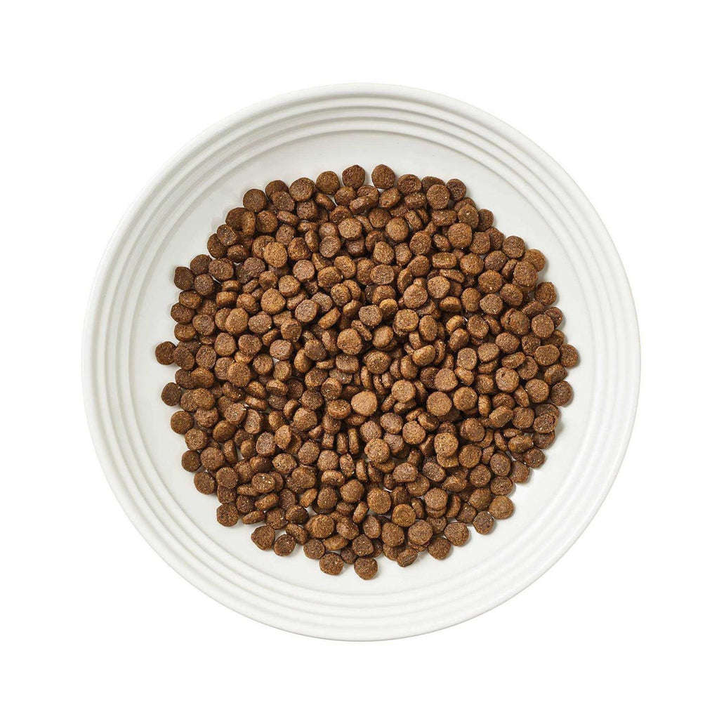 Grain-Free Chicken Dry Cat Food G86055